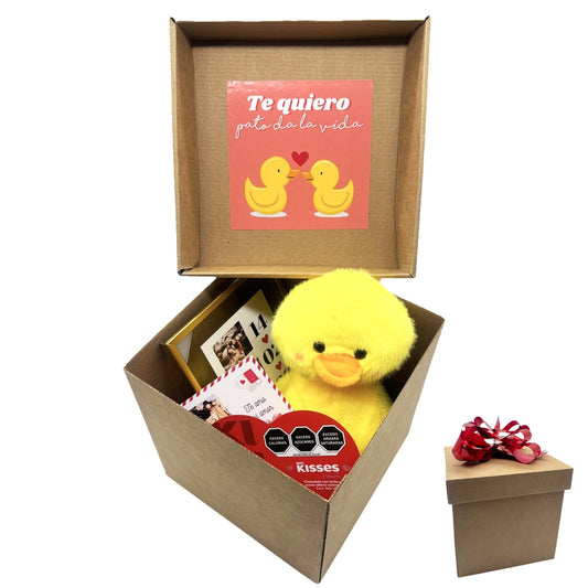 KIT PELUCHE | 5 MODELOS